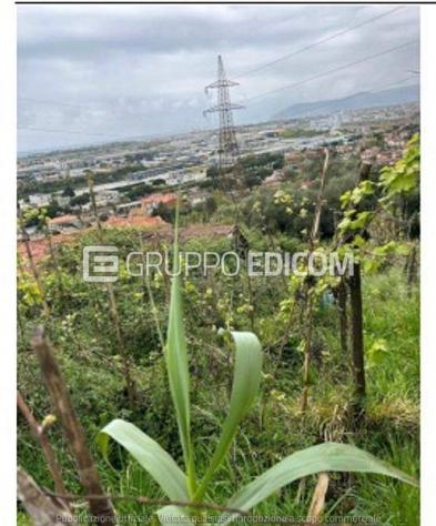 Terreno in vendita a Massa - Rif. 3559520 - Foto 3