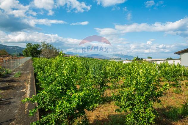 Terreno in vendita a Santa Venerina, Dagala del Re - Foto 15