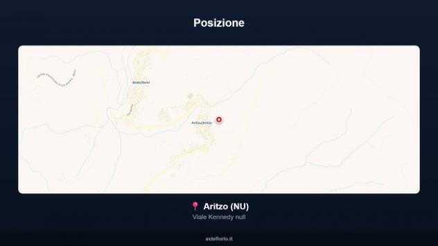 Immobile in asta di 2292 m² in vendita a Aritzo - Foto 9