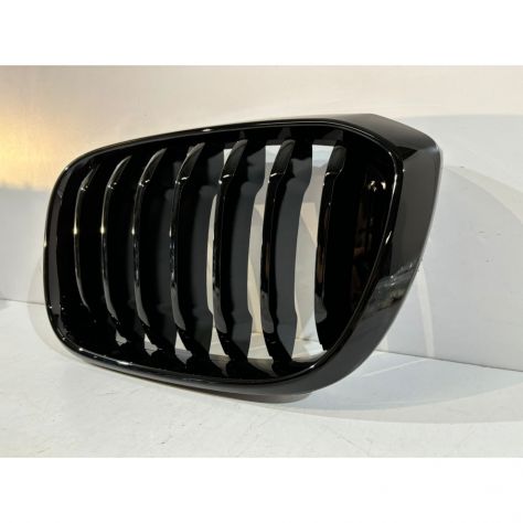 BMW X3 G01/X4 G02 Griglia Rene Sinistra-14951 - Foto 3