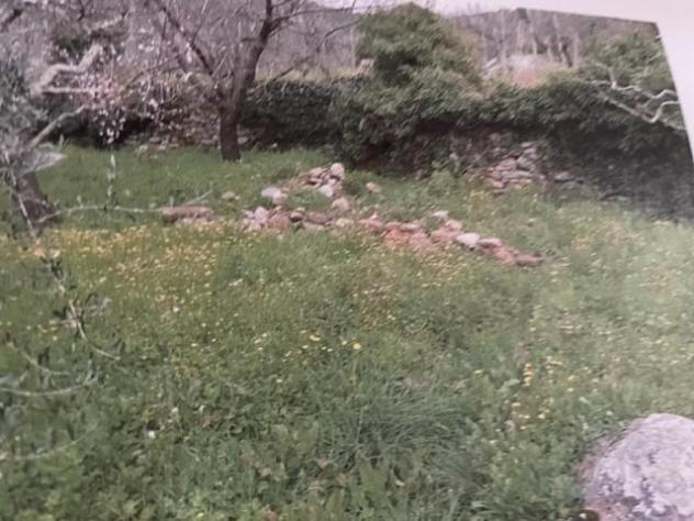 Terreno agricolo in vendita a Castelmaggiore - Calci 1500 mq Rif: 1205664 - Foto 5