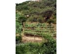 Terreno agricolo in vendita a FONTIA - Carrara 3000 mq  Rif: 798593
