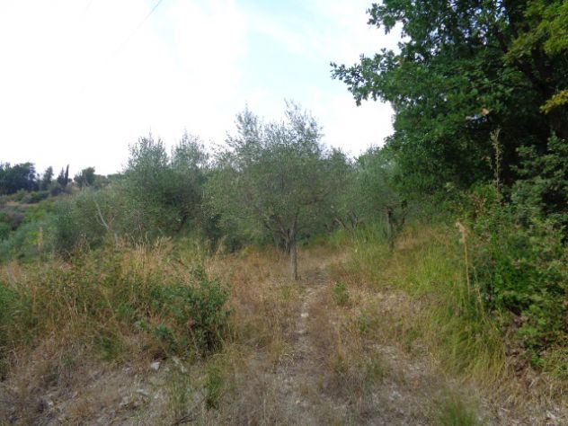 Torchiara-Terreno Con Fabbricato,Ulivi E Ficheto - Foto 2