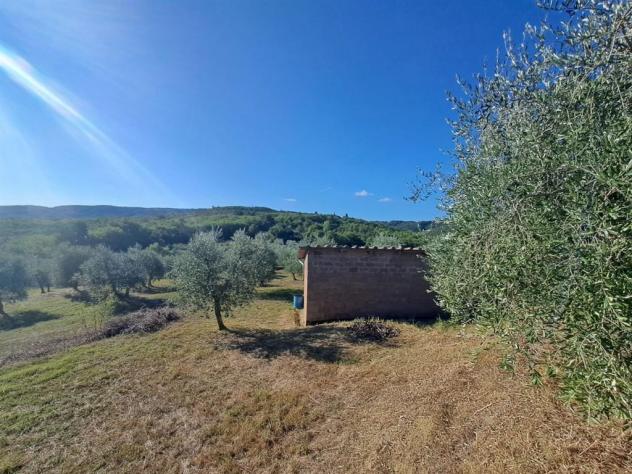 Valdambra - Annesso in Muratura con Terreno e Uliveto - Rif. C10 - Foto 11