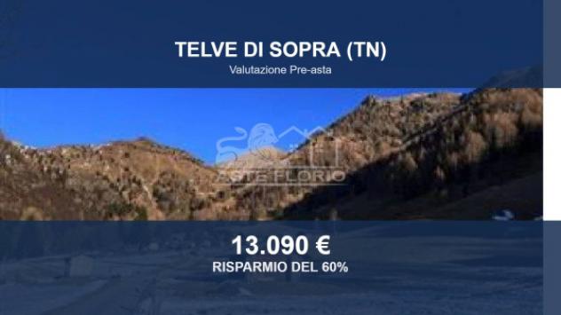 Immobile in asta di 17391 m² in vendita a Telve di Sopra