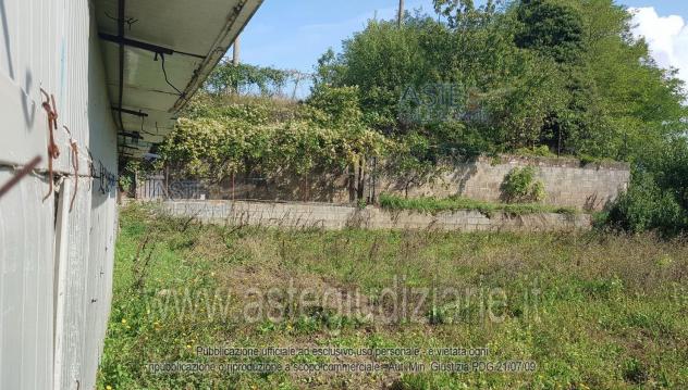 AZIENDE-ALTRA CATEGORIA-Via del Palagio - Foto 5
