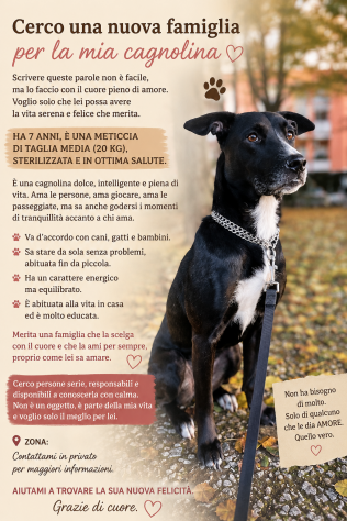 Una famiglia per Stella