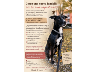 Una famiglia per Stella