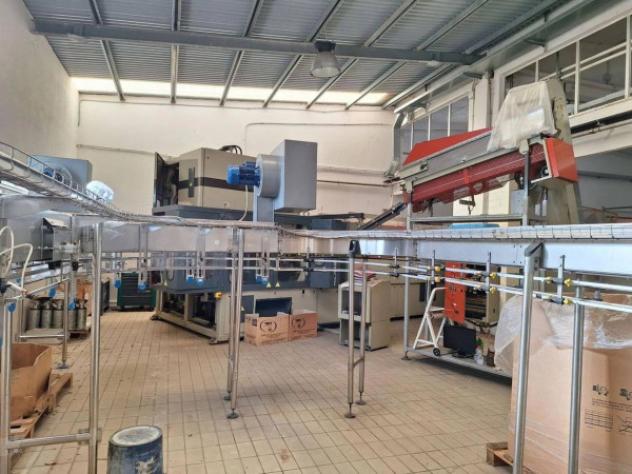 Immobile in asta di 1059 m² in vendita a Guspini - Foto 16