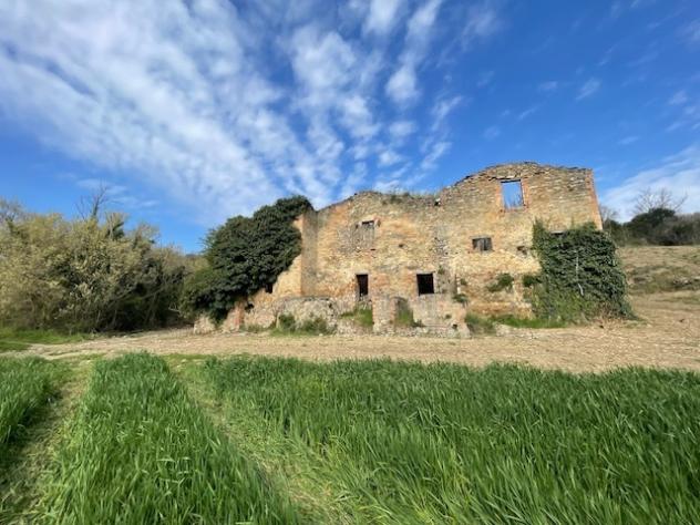 Industriale in vendita a Marsciano