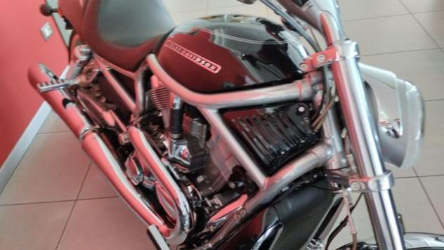 HARLEY-DAVIDSON VRSCDX Night Rod Special VROAD SPECIAL rif. 20949732 - Foto 5