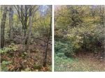250/2025 2 BS - bosco situato sul monte pirello.