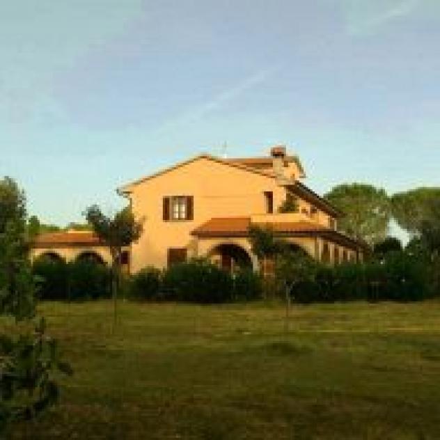 Podere San Filippo di Spikic Jadranka - Foto 3