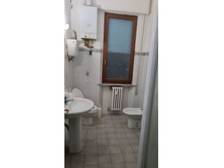 Siena singola ammobiliata, zona Ravacciano
