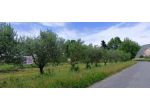 Terreno agricolo in affitto a San Giorgio - Cascina 250 mq  Rif: 1266267