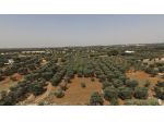 Terreno edificabile in vendita a Ostuni