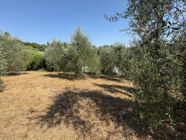 Terreno agricolo in vendita a Montecastello - Pontedera 5110 mq Rif: 1425459 - Foto 4