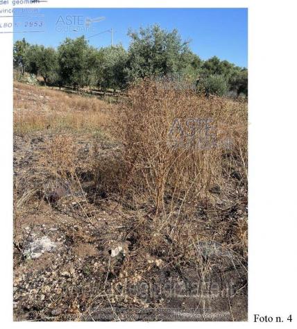 IMMOBILI-ALTRA CATEGORIA-contrada “Santo Stefano” - Foto 6