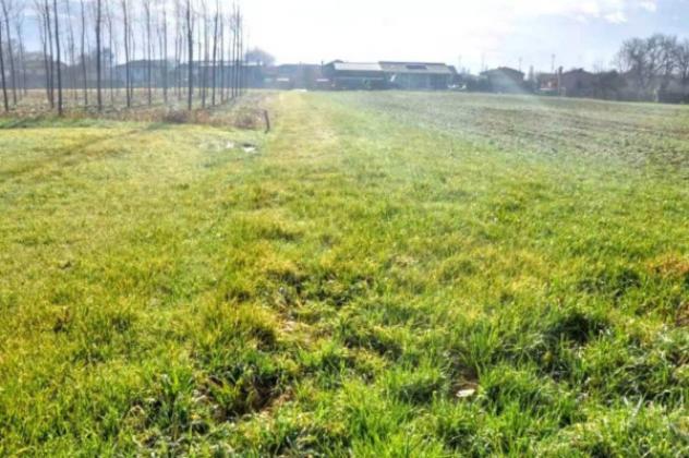 Immobile in asta di 13 m² in vendita a Vigodarzere - Foto 5