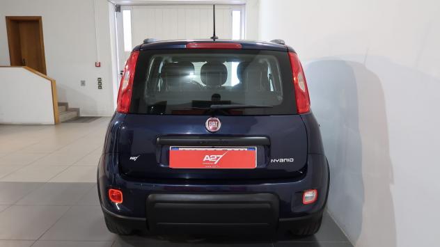 FIAT Panda Panda 1.0 firefly hybrid City Life s&s 70cv 5p.ti - Foto 10