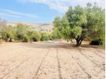 Rif:2635 - Terreno Edificabile in zona Piscina, Comiso