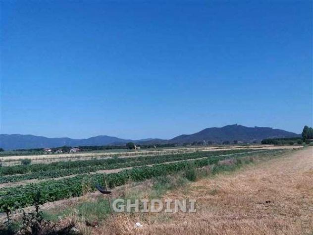 TERRENO AGRICOLO di 1 vani e di 60000 mq (GROSSETO) rif. 2210.137M - Foto 3