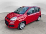 FIAT Panda NEW 1.0 70cv Hybrid Icon