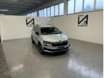 SKODA Karoq 2.0 TDI EVO SCR 115CV DSG EXECUTIVE rif. 23648462