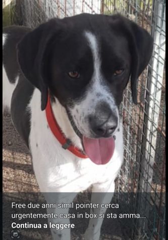 Mix Pointer 4anni salvato due anni fa..NAPOLI