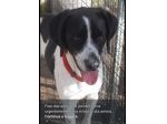 Mix Pointer 4anni salvato due anni fa..NAPOLI