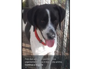 Mix Pointer 4anni salvato due anni fa..NAPOLI