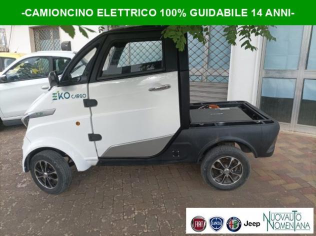 PIAGGIO Porter NP6 RUNHORSE MINI TRUK ELETTRICO L6 rif. 23916589