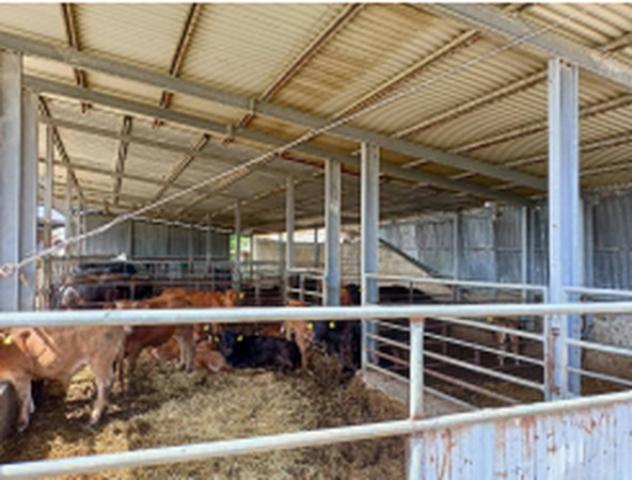 Immobile in asta di 96 m² in vendita a Pisticci