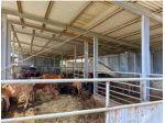 Immobile in asta di 96 m² in vendita a Pisticci