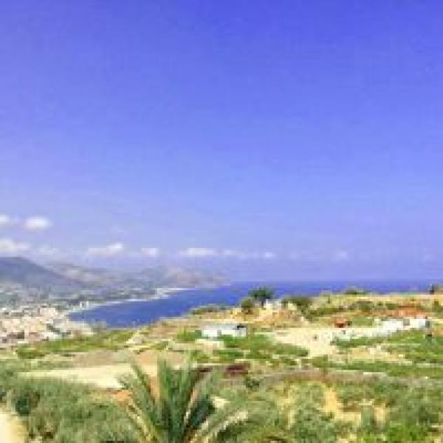 Trattoria Torretta da Filippo - Foto 4