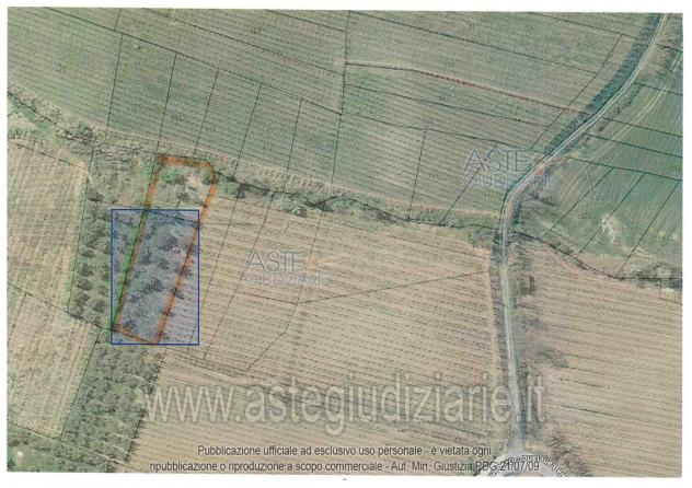 IMMOBILI-ALTRA CATEGORIA-66032 Castel Frentano CH, Italia - Foto 2