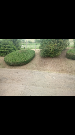 Effettuo lavori di giardinaggio - Foto 3