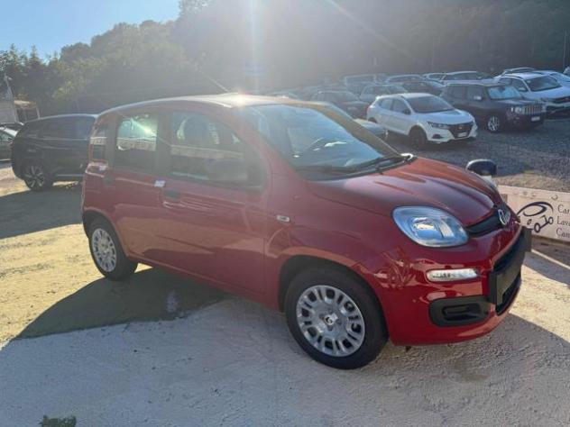 FIAT Panda 1.0 FireFly S&S Hybrid Icon rif. 24100303
