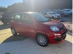 FIAT Panda 1.0 FireFly S&S Hybrid Icon rif. 24100303