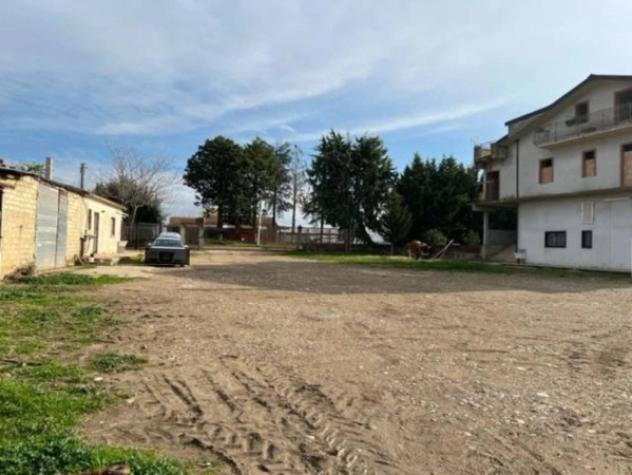 Immobile in asta di 2100 m² in vendita a Venosa - Foto 3