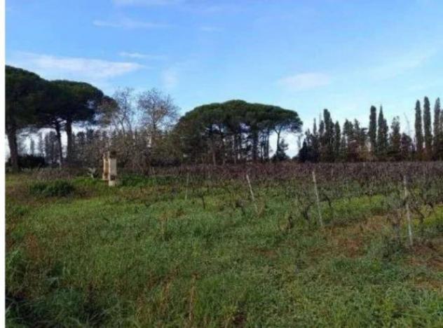 Immobile in asta di 281 m² in vendita a Campi Salentina - Foto 6