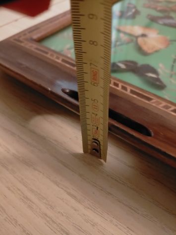 Vassoio in legno con interno farfalle vere - Foto 5