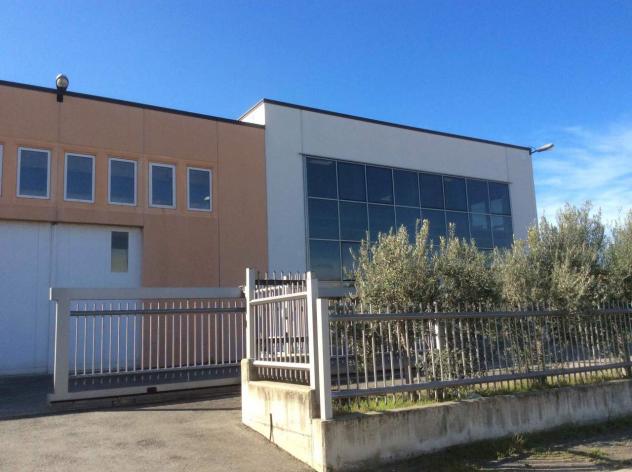 Artigianali in vendita a Orbetello - Foto 2