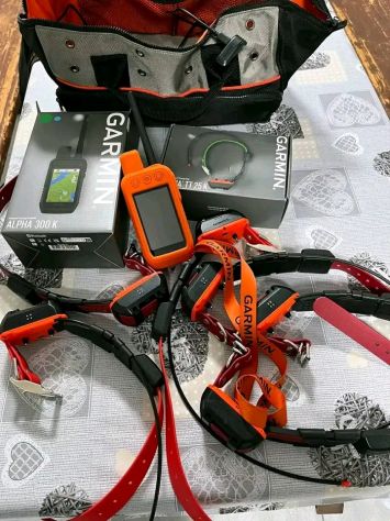 Garmin Alpha 100, 200, 300, palmari/Garmin Astro 64s, 320, 430, 900 e collare - Foto 4