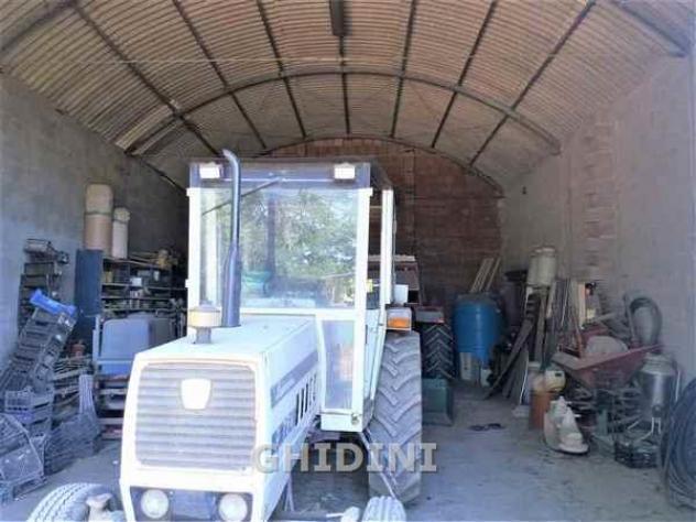 TERRENO AGRICOLO di 1 vani e di 60000 mq (GROSSETO) rif. 2210.137M - Foto 6