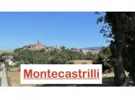 Allenamento e Schede Su Misura (Casa o Palestra) a Montecastrilli e Terni