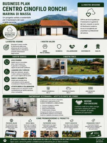 Commerciale in affitto a Massa
