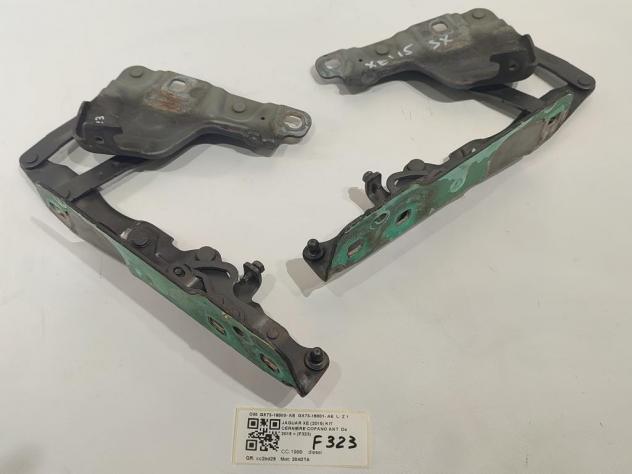 CERNIERE COFANO ANTERIORE DX E SX JAGUAR XE Serie (X760) GX73-16800- AE GX73-16801- AE 204DTA (15)