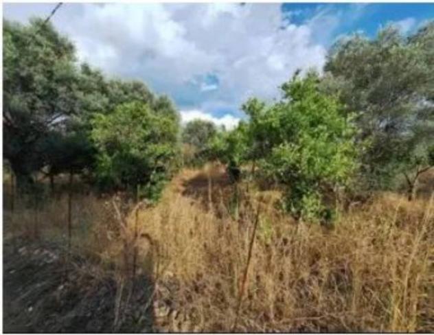Immobile in asta di 470 m² in vendita a Bovalino - Foto 5