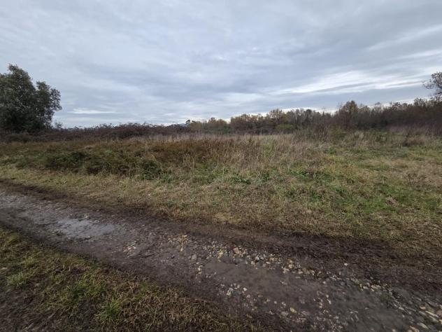 Terreno agricolo in vendita a Orentano - Castelfranco di Sotto 5000 mq Rif: 1383545 - Foto 3